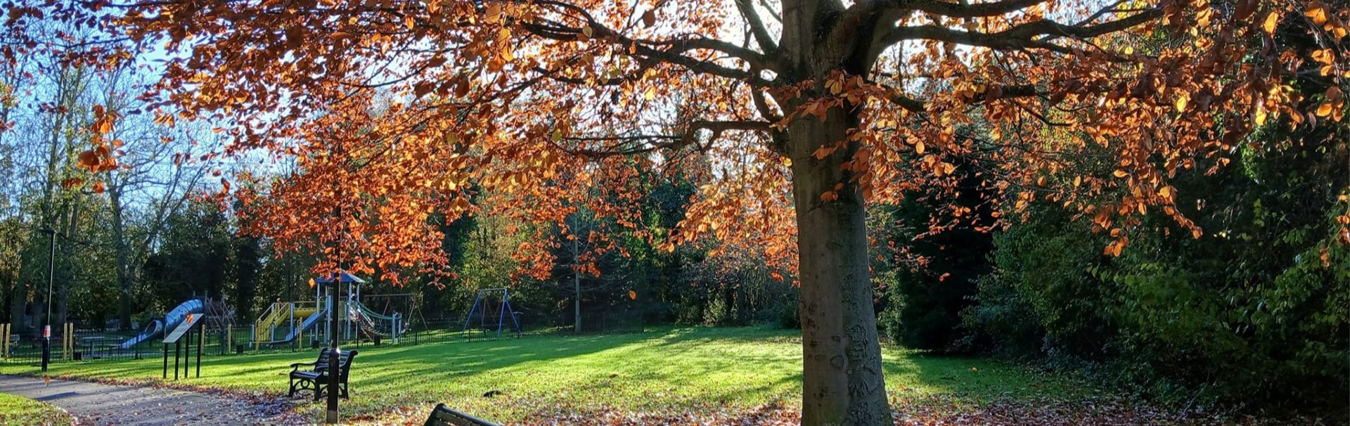 Halesworth Town Park in the Autumn.